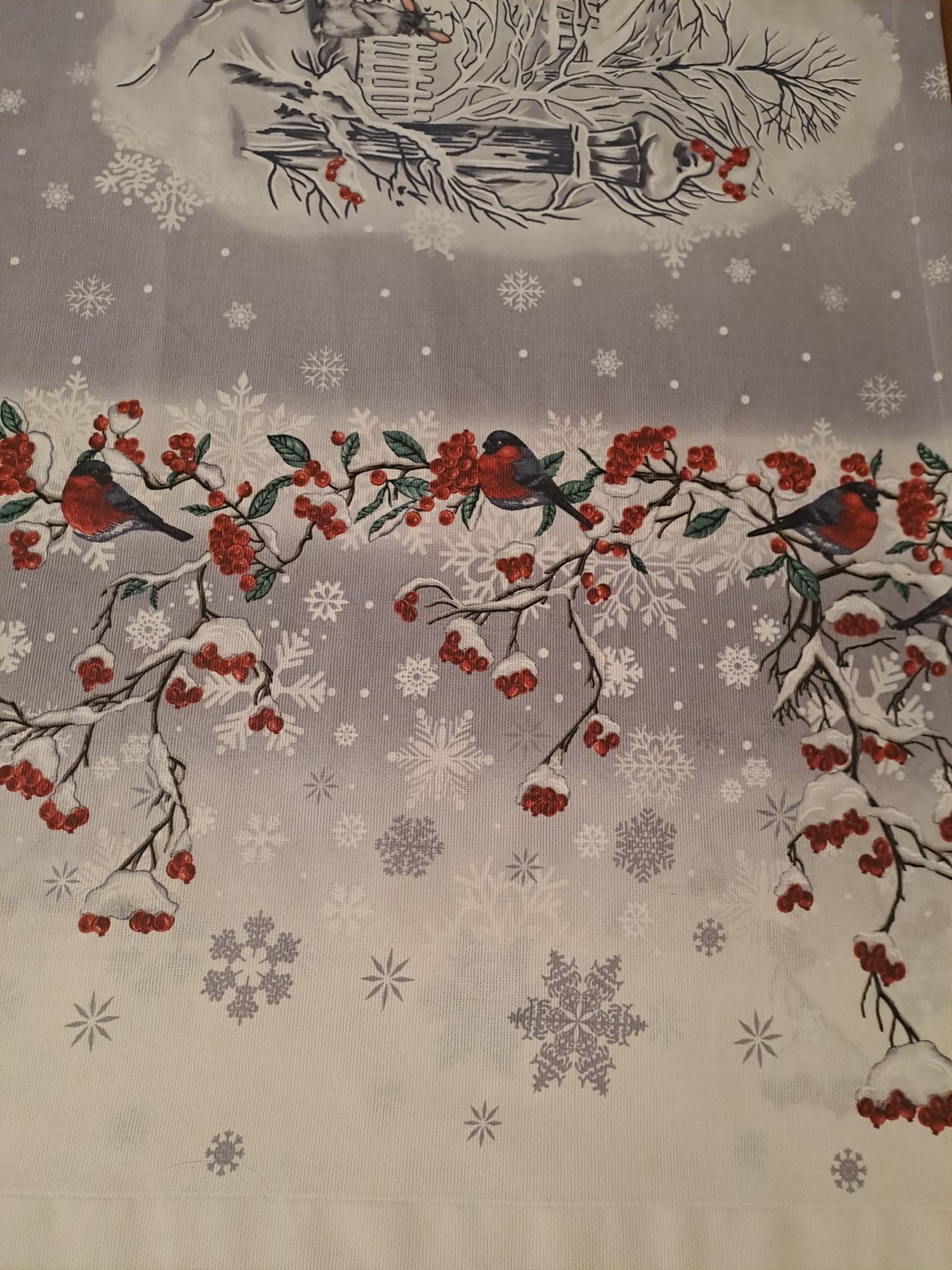 Stolnjak - Zimska bajka